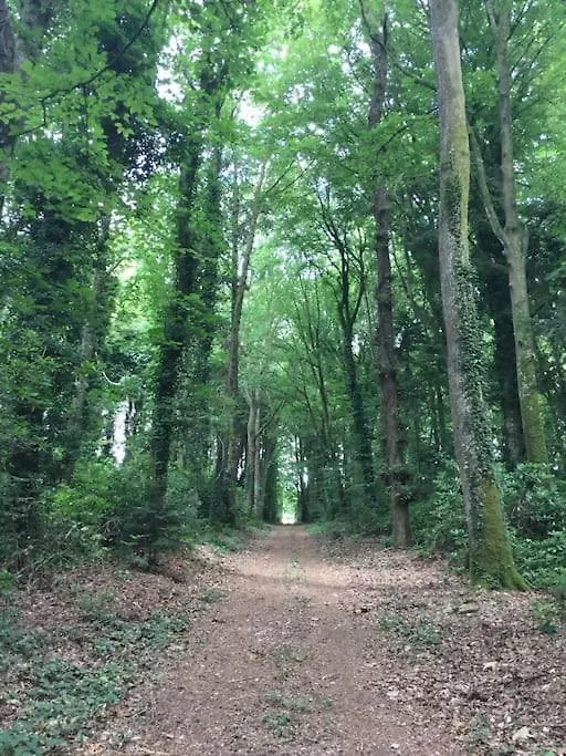 Le Gite Du Chateau Kervolongar Garlan Шале